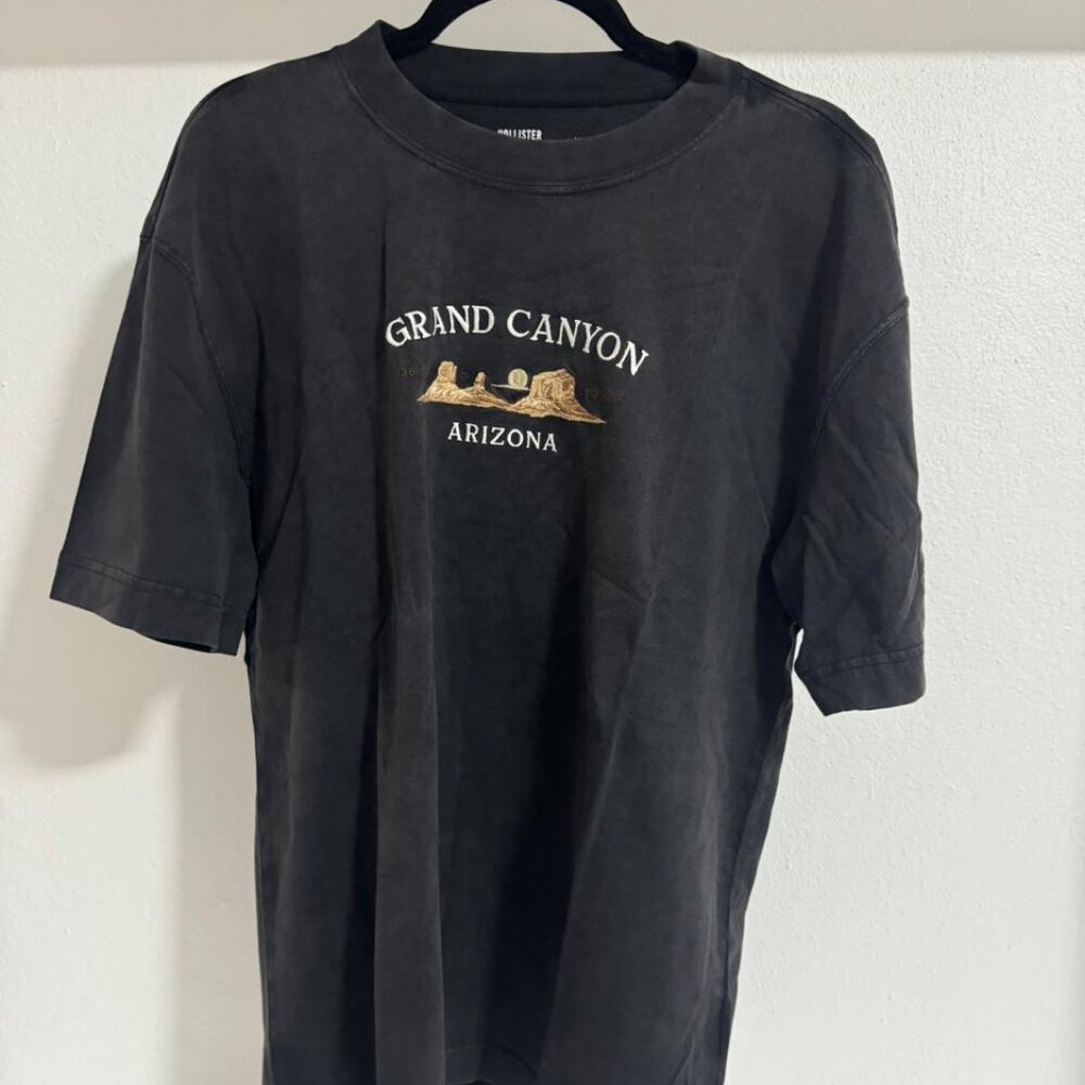 Hollister BOXY HEAVYWEIGHT GRAND CANYON
